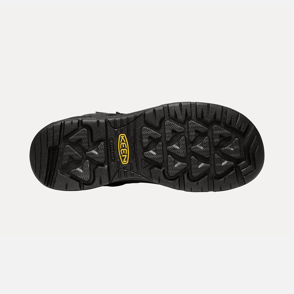 Keen Laarzen Heren Zwart - Dover 6\" Wp (Carbon-Fiber Toe) - 82763-CFHK